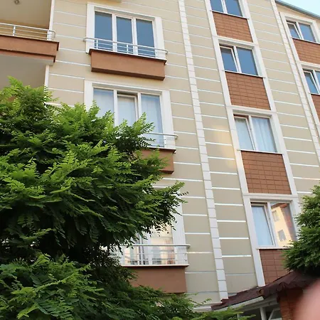 Cesa * Yalova (Yalova)